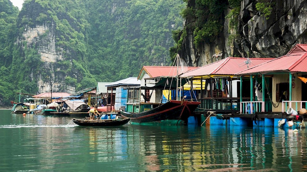 Lan Ha Bay area offers many attractive spots for those who love nature and exploring local culture